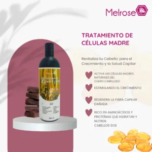 Tratamiento capilar con células madre para revitalizar el cabello